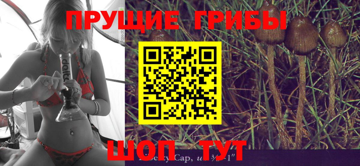 Псилоцибиновые грибы GOLDEN TEACHER  Галлюциногенные грибы GOLDEN TEACHER  Крымск  Вход с VPN 